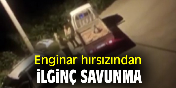Enginar hırsızından ilginç savunma