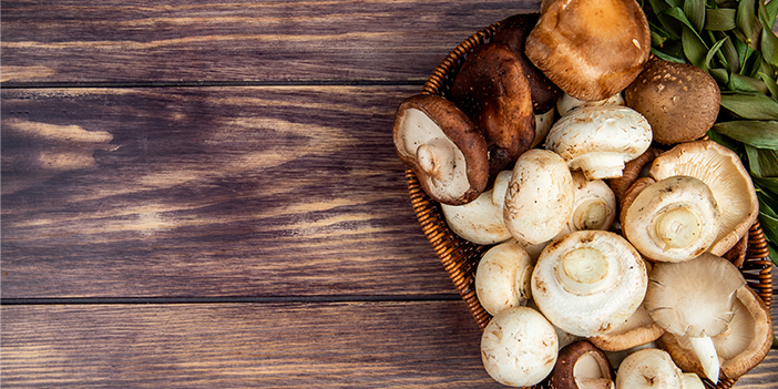 Mantar zehirlenmelerine dikkat