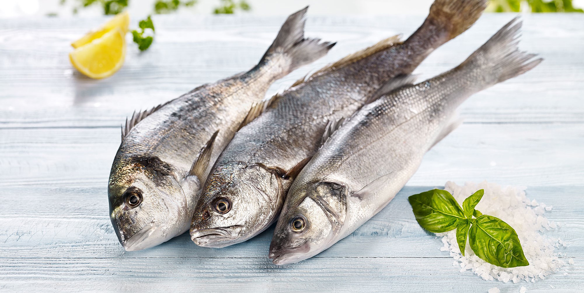 Balıkçılar, denizlerden dolar avlıyor