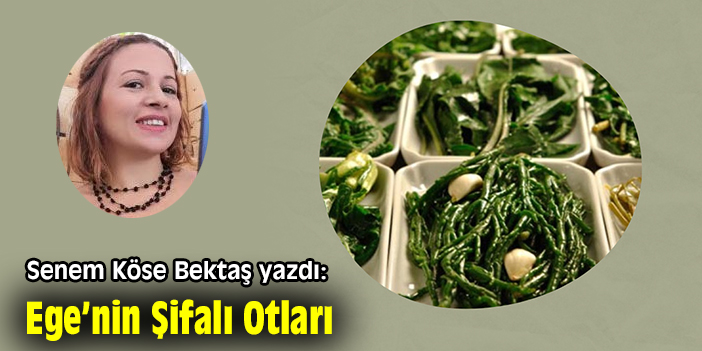 Ege'nin Şifalı Otları