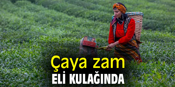 Çaya zam eli kulağında