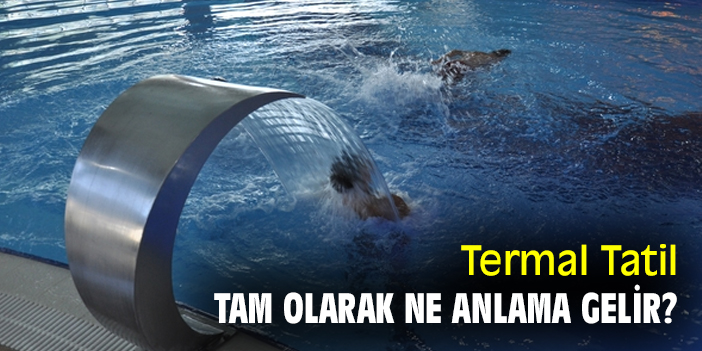 Termal Tatil Tam Olarak Ne Anlama Gelir?