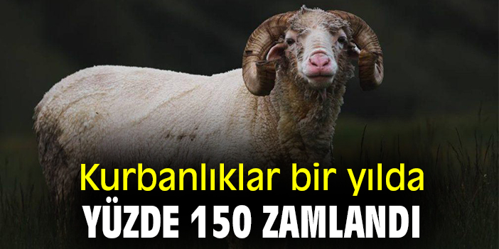 Kurbanlıklar bir yılda yüzde 150 zamlandı