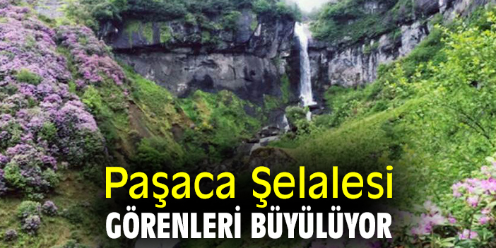 Paşaca Şelalesi, görenleri büyülüyor