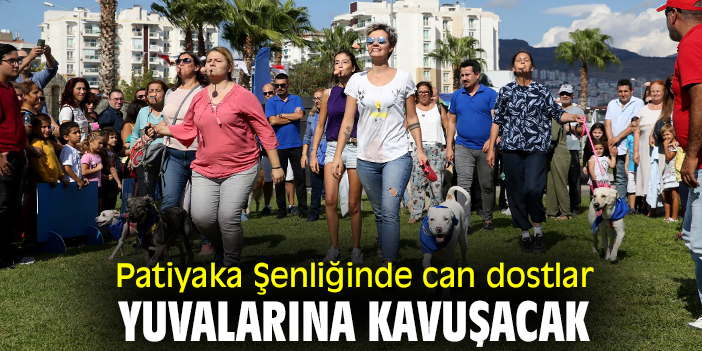 Patiyaka Şenliğinde can dostlar yuvalarına kavuşacak