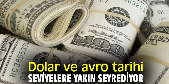 Dolar ve avro tarihi seviyelere yakın seyrediyor