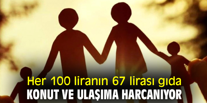 Her 100 liranın 67 lirası gıda, konut ve ulaşıma harcanıyor