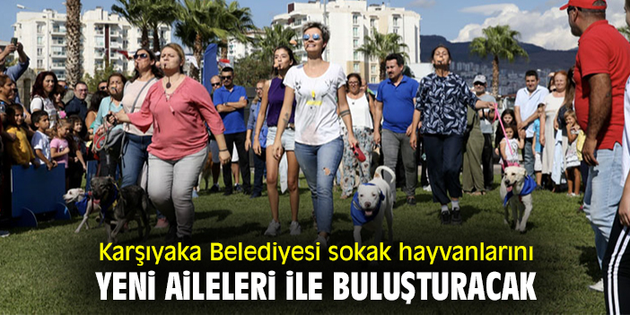 Karşıyaka Belediyesi sokak hayvanlarını yeni aileleri ile buluşturacak
