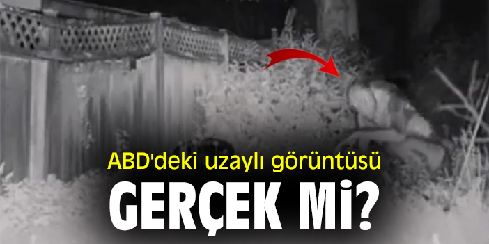 ABD'deki uzaylı görüntüsü gerçek mi?