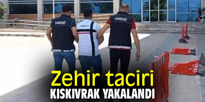 Zehir taciri kıskıvrak yakalandı