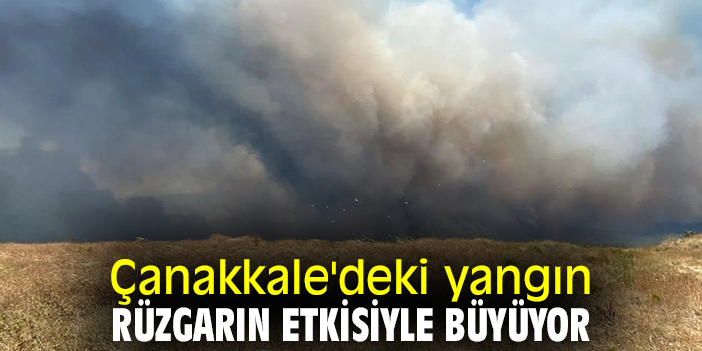 Çanakkale'deki yangın rüzgarın etkisiyle büyüyor