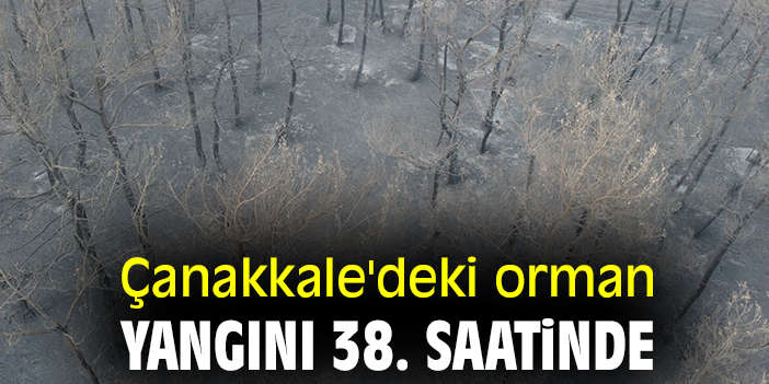 Çanakkale'deki orman yangını 38. saatinde