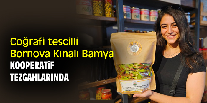 Coğrafi tescilli Bornova Kınalı Bamya kooperatif tezgahlarında