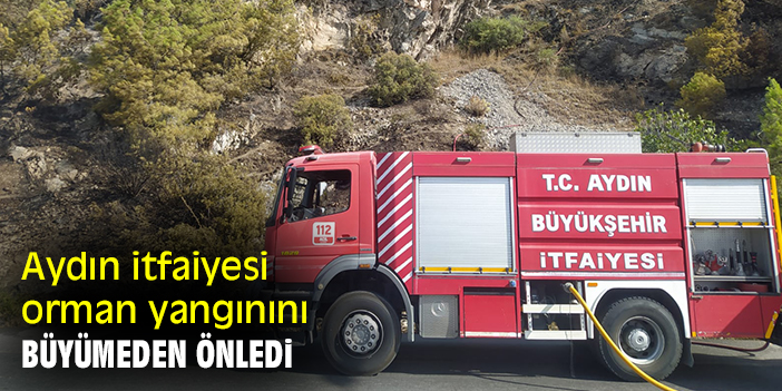 Aydın itfaiyesi, orman yangınını büyümeden önledi