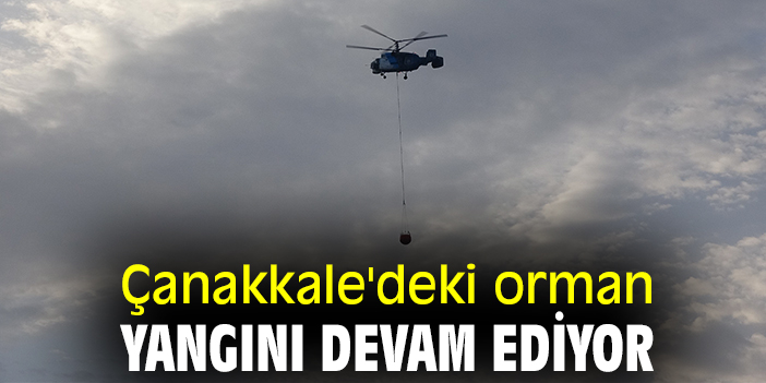 Çanakkale'deki orman yangını devam ediyor