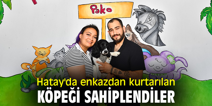 Hatay'da enkazdan kurtarılan köpeği sahiplendiler