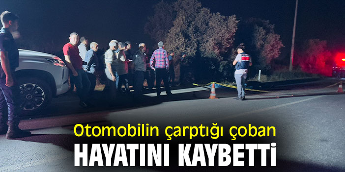 Otomobilin çarptığı çoban hayatını kaybetti
