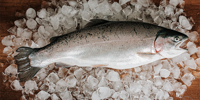 Dondurulmuş balık sağlıklı mı?