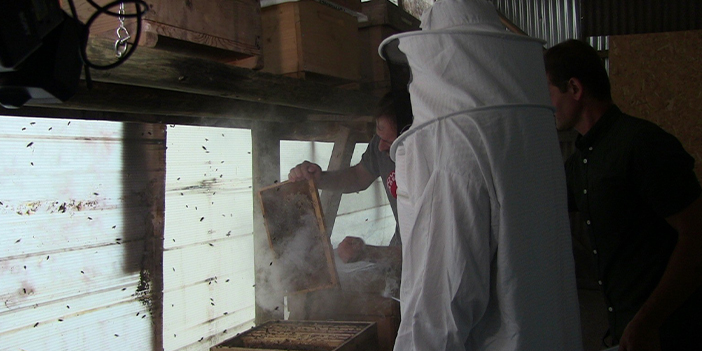 Macahel balı Anzer Balı'na rakip