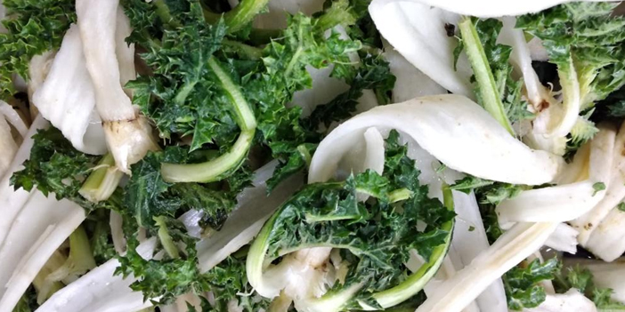 Şifa deposu; şevketi bostan