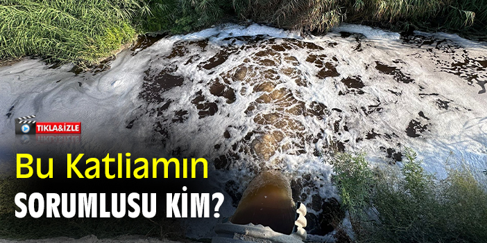 Bu katliamın sorumlusu kim?