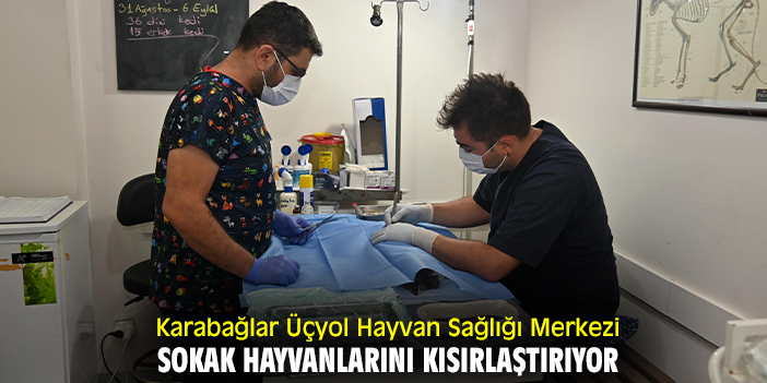 Karabağlar Üçyol Hayvan Sağlığı Merkezi sokak hayvanlarını kısırlaştırıyor