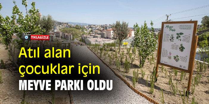 Atıl alan çocuklar için meyve parkı oldu