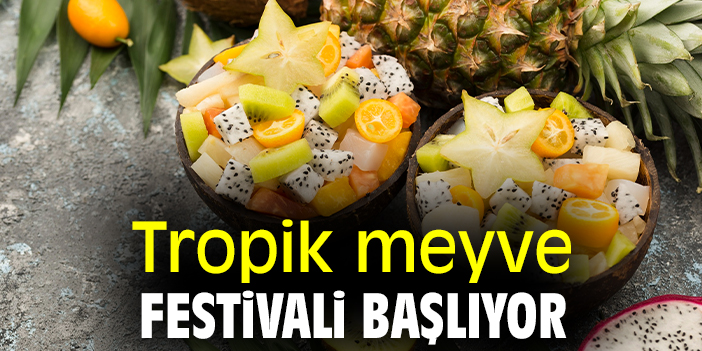 Tropik meyve festivali başlıyor