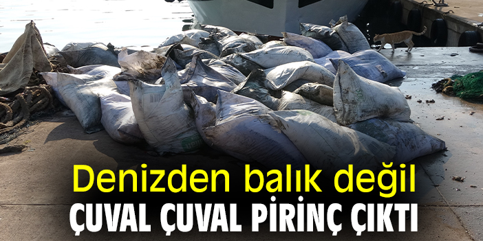 Denizden balık değil çuval çuval pirinç çıktı
