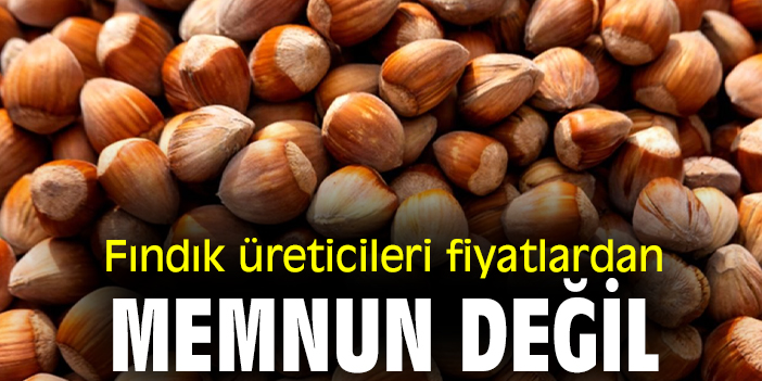 Fındık üreticileri fiyatlardan memnun değil