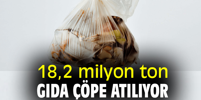 18,2 milyon ton gıda çöpe atılıyor