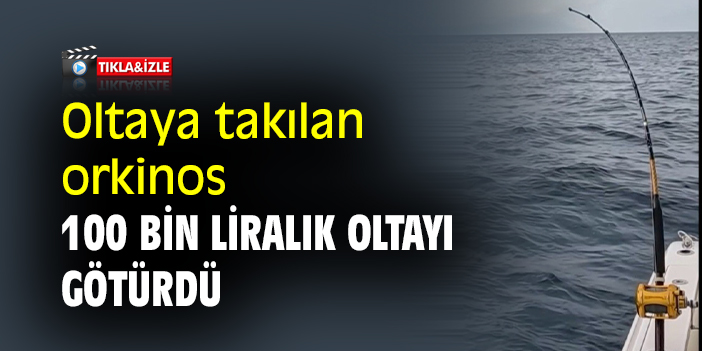 Oltaya takılan orkinos 100 bin liralık oltayı götürdü
