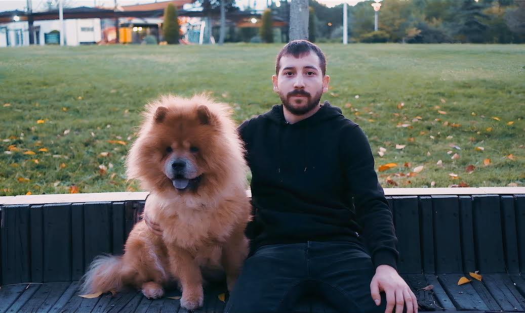 Köpeğinizin Eğitimini İhmal Etmeyin