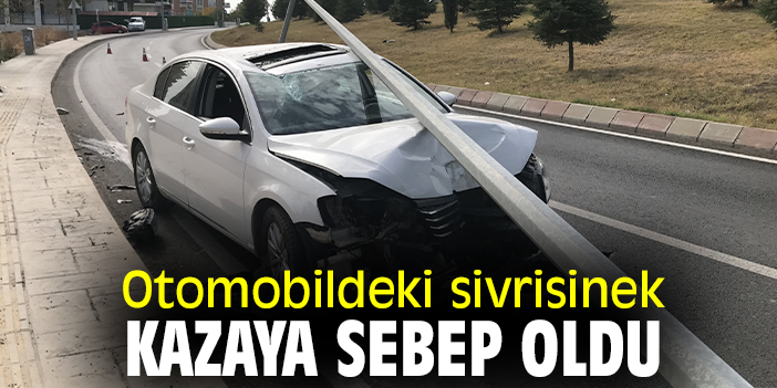 Otomobildeki sivrisinek kazaya sebep oldu