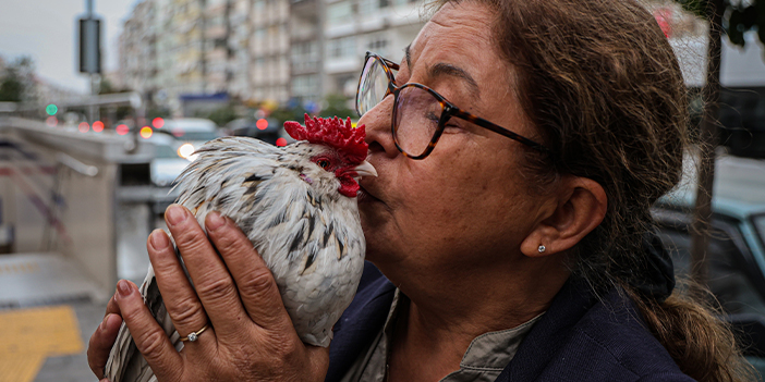 Horoz Bıdık görenleri şaşırtıyor