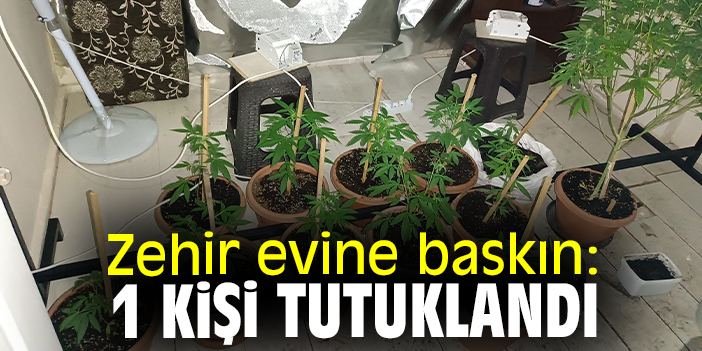 Zehir evine baskın: 1 kişi tutuklandı