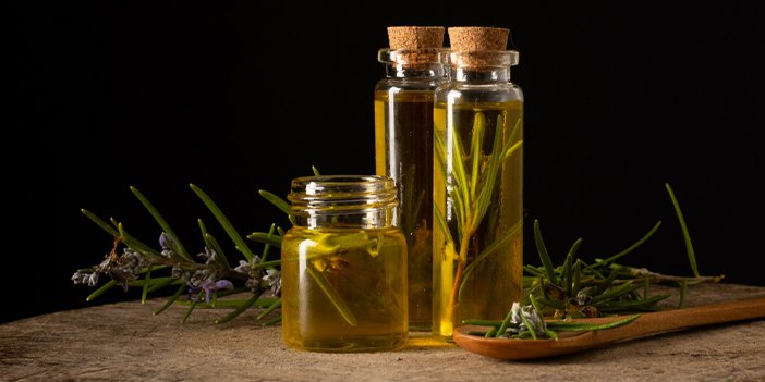 Zeytin sıkım dönemi başladı