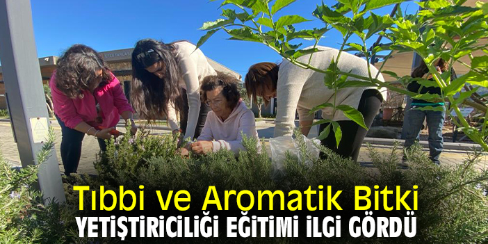 Tıbbi ve Aromatik Bitki Yetiştiriciliği Eğitimi ilgi gördü