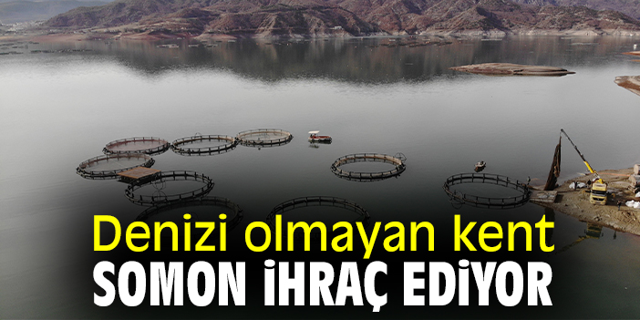 Denizi olmayan kent somon ihraç ediyor