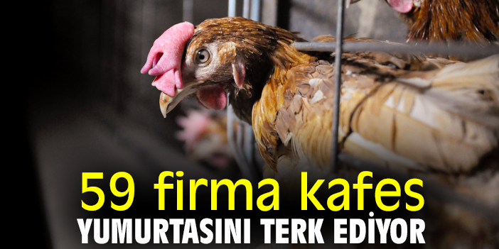 59 firma kafes yumurtasını terk ediyor