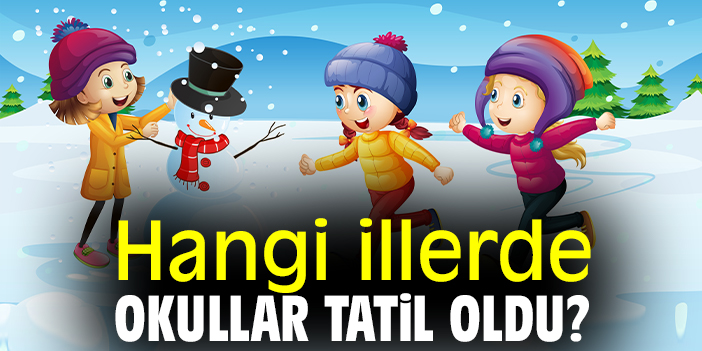 Hangi illerde okullar tatil oldu?