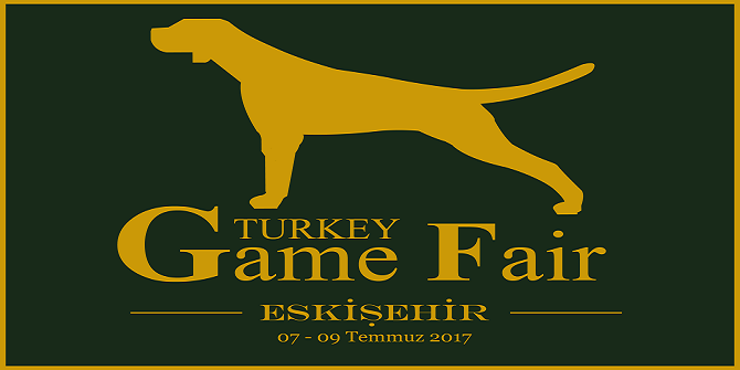 Game Fair Türkiye'ye Taklitçi Şoku