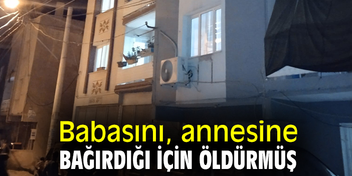 Babasını, annesine bağırdığı için öldürmüş