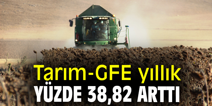 Tarım-GFE yıllık yüzde 38,82 arttı