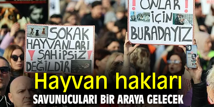 Hayvan hakları savunucuları bir araya gelecek