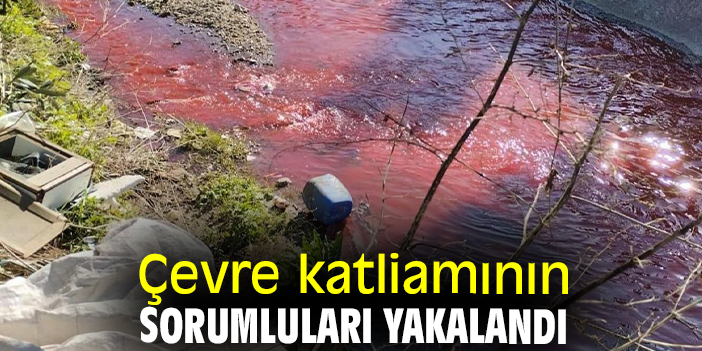 Çevre katliamının sorumluları yakalandı