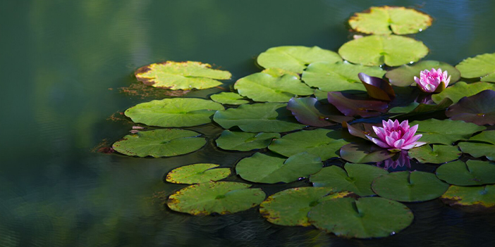 İkinci cemre suya düştü
