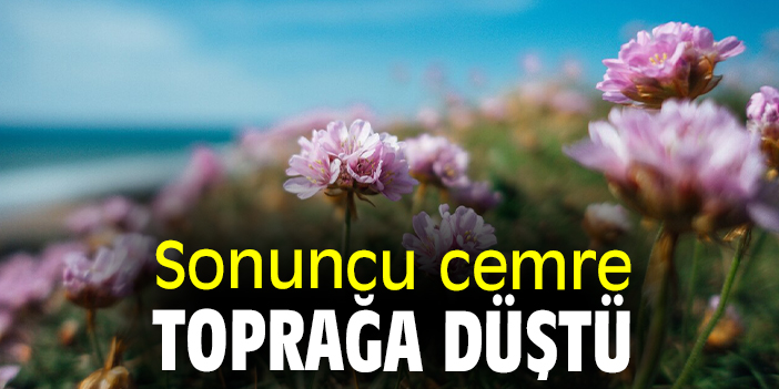 Sonuncu cemre toprağa düştü