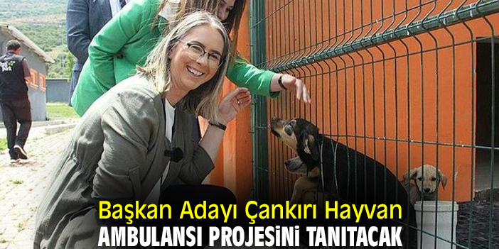 Başkan Adayı Çankırı Hayvan Ambulansı projesini tanıtacak