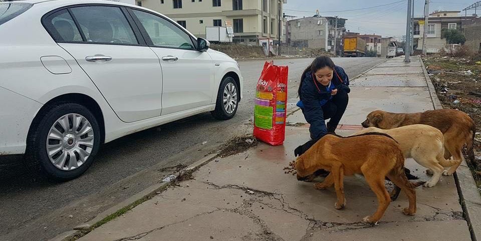 Can dostları yalnız bırakmadı